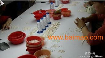 2015年賺錢(qián)手工加工項(xiàng)目 珍珠手工活加工全解析
